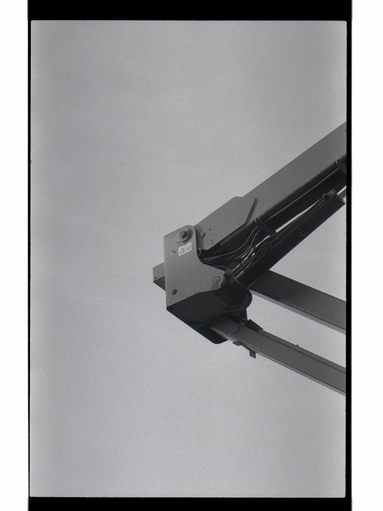 Fotografía del proyecto Nueva Botánica