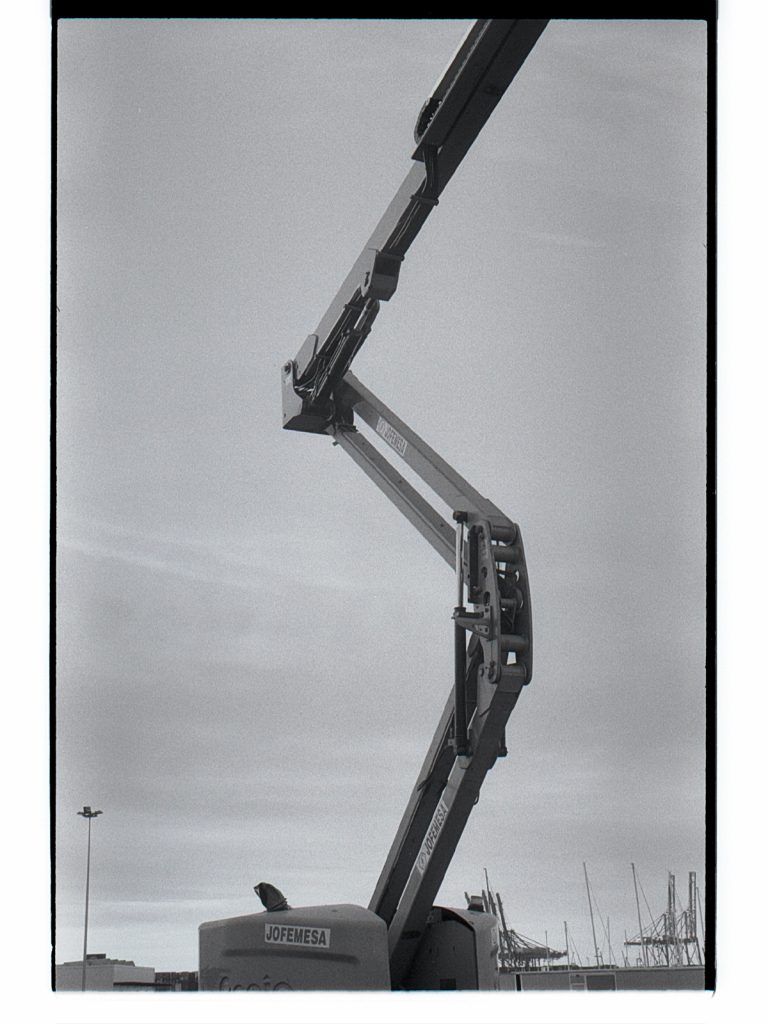 Fotografía del proyecto Nueva Botánica