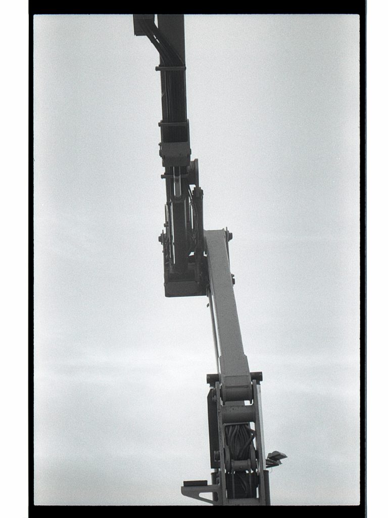 Fotografía del proyecto Nueva Botánica