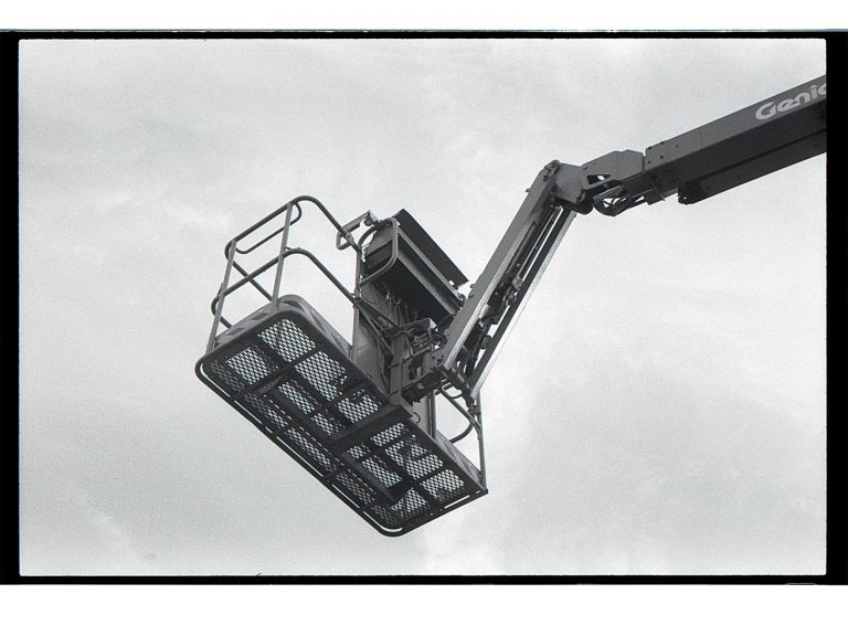 Fotografía del proyecto Nueva Botánica