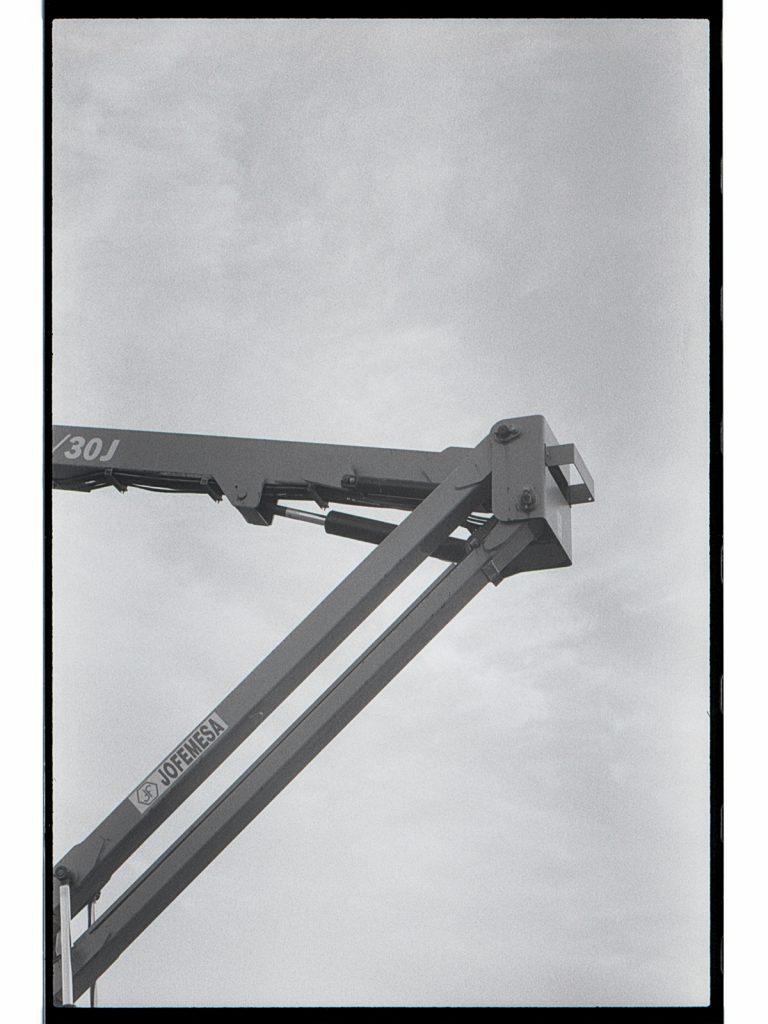 Fotografía del proyecto Nueva Botánica